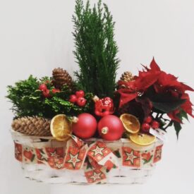 eleganckie stroiki bożonarodzeniowe w koszu z cyprysem zielonym i rajskimi jabłuszkami, przyozdobione czerwonymi bombkami, szyszkami i plastrami suszonej pomarańczy
