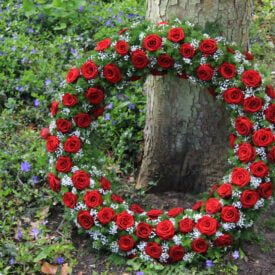 oparty o drzewo wieniec pogrzebowy wianek z żywych czerwonych róż