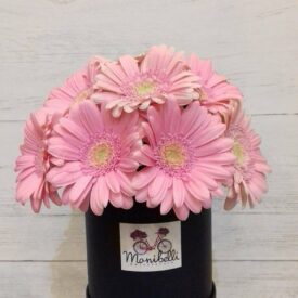 czarny flower box z żywymi gerberami w kolorze różowym